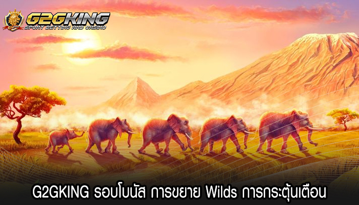 G2GKING รอบโบนัส การขยาย Wilds การกระตุ้นเตือน