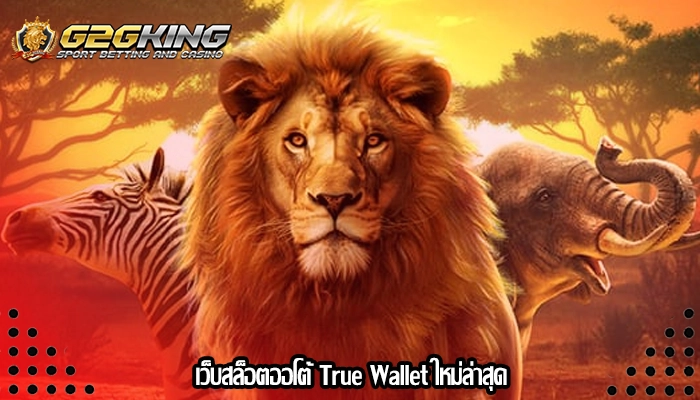 เว็บสล็อตออโต้ True Wallet ใหม่ล่าสุด